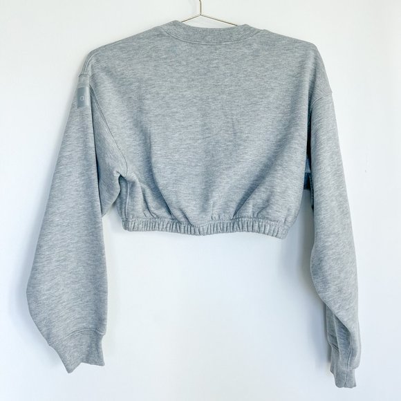 ALO Yoga Gray Cropped Sweatshirt - Picture 5 of 5